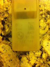 BMW E23 E24 E30 (1983-1991) Door Trunk Lock Actuator Front LEFT / Driver Side